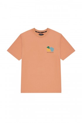 CAMISETA POMELO DITO