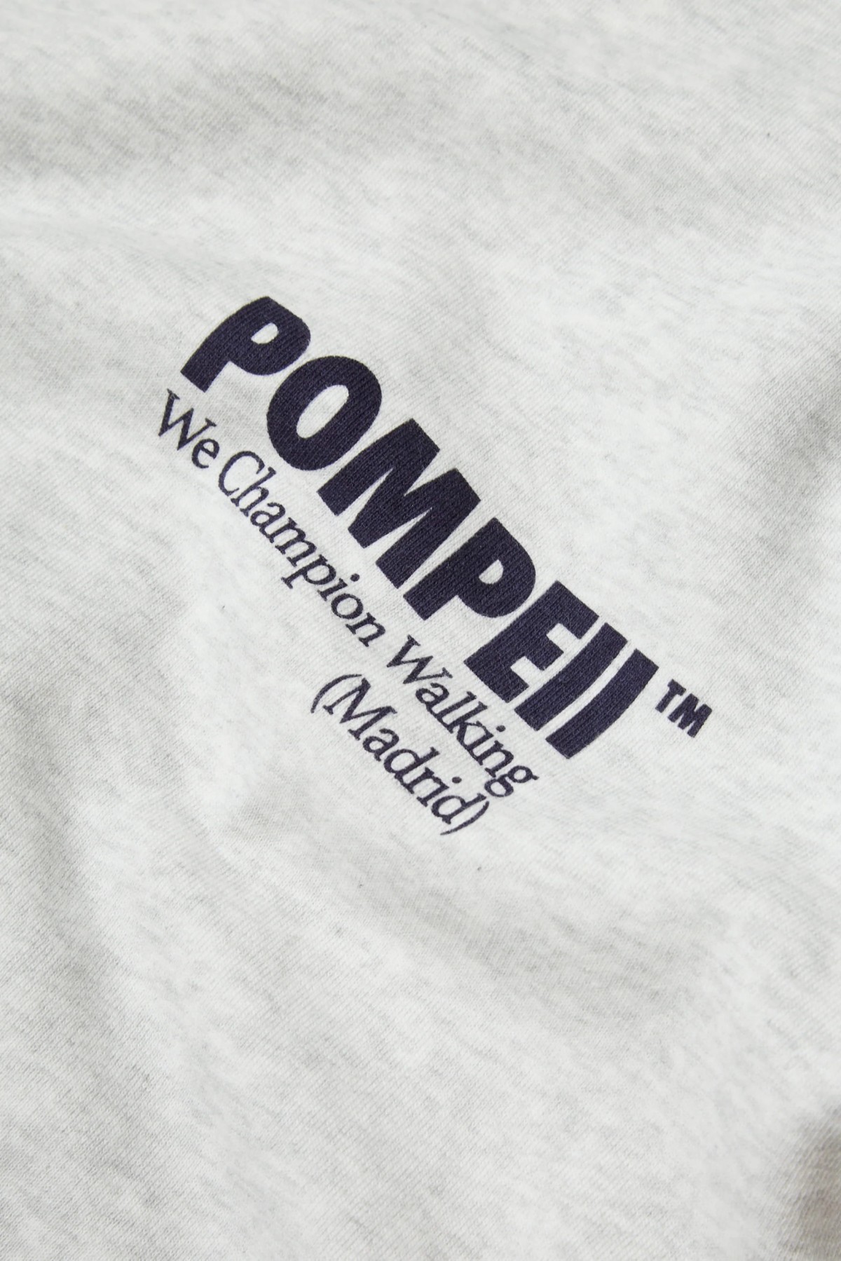 sudadera pompeii logo gris